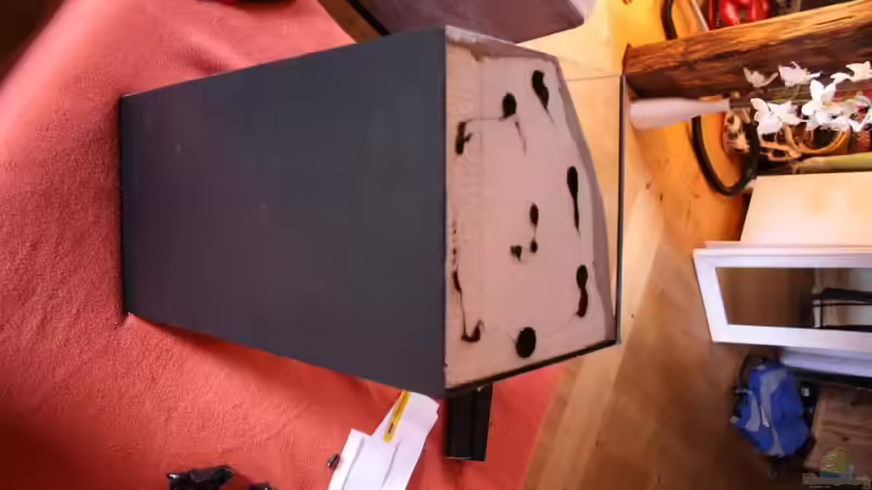 Rückscheibe kpl. sowie die beiden seitenscheiben is zu den konturen der Module mit von Marco Vasev (4)