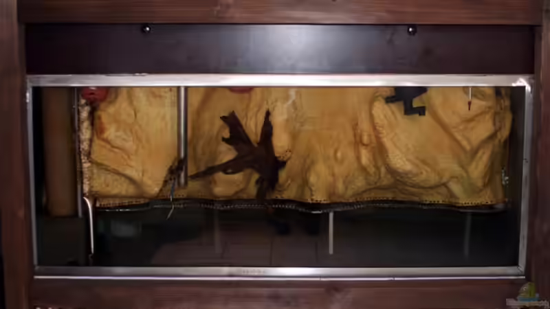 Rückseite.. Im unteren Bereich wuchern wie geplant Wurzeln durch.. Baldige Höhlenansicht von Marcus Schulte (15)