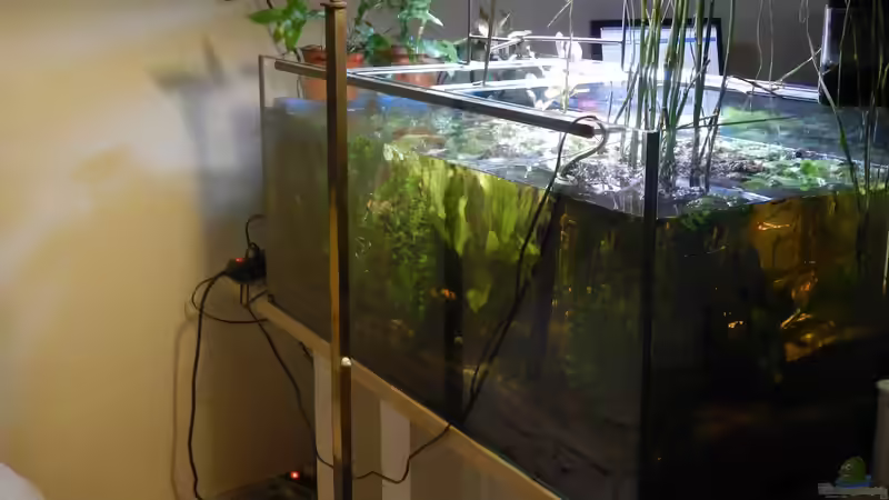 Rückseite des Beckens. von miv (13)