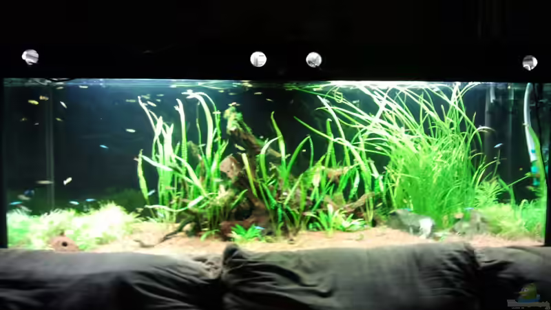 Rückseite hinter der couch von Jens Hug (2)