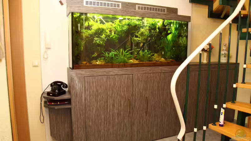 Rückseite komplett fertig von Armin Sauer (9)