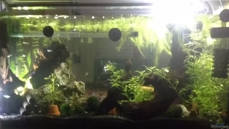 Rückseite mit Röhrenturm als Ersatz für Lochgestein,; ein weiteres, schöneres von Ditti (4)