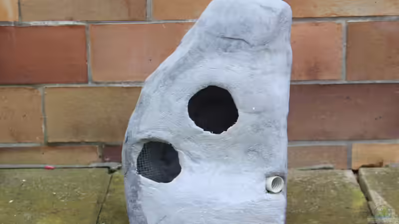 Rückseite von Borg (9)