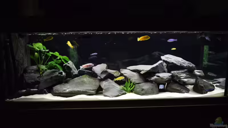 Rückseite von Mazdeur (3)