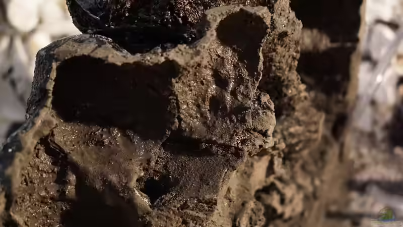 Rückseite(nur Ausschnitt) mit erstem Anstrich Fließenkleber nach dem Aushöhlen von pa.Trick (16)