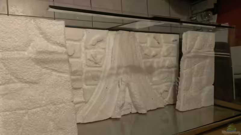 Rückwände komplett zur Probe im Becken, man sieht nur einen Hauch von Röhren für von raubsau (17)