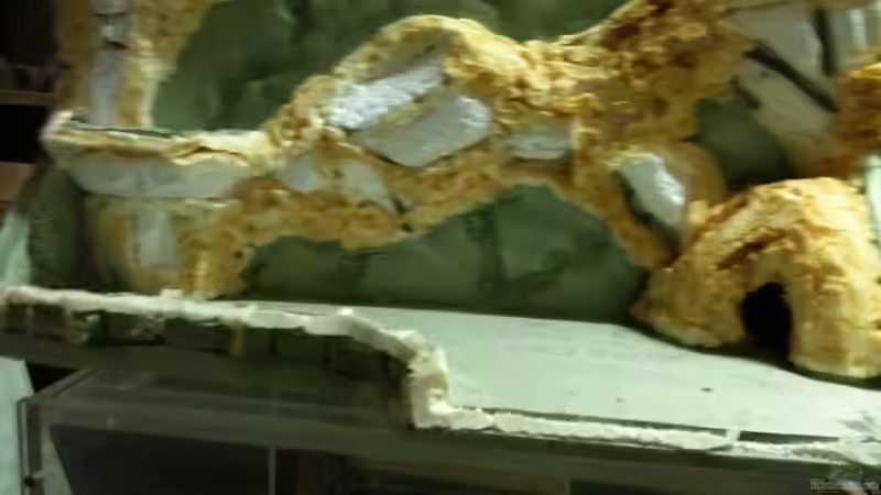 Rückwanbau Styropor mit PU-Schaum von Mueller76 (3)