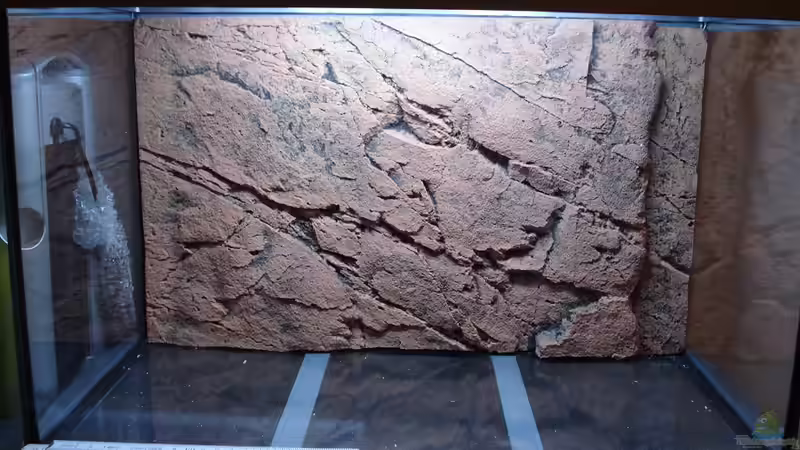 Rückwand, Back to Nature von Jumi (6)