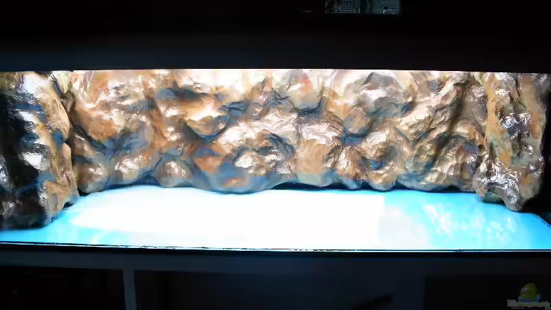 Rückwand, glänzt im Wasser nicht mehr von ERIC (3)