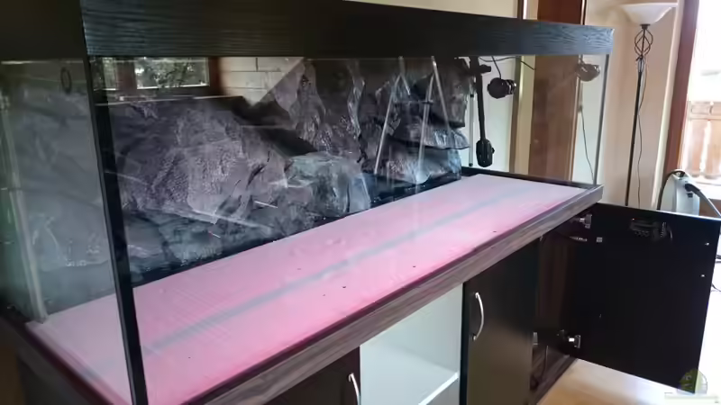 Rückwand  und Technik stehen von Tobias Summerer (5)