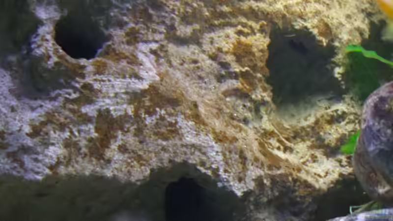 Rückwand 15.01.10 von wadde (21)