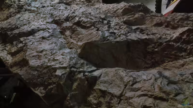 Rückwand 2 von bergstrasse (13)