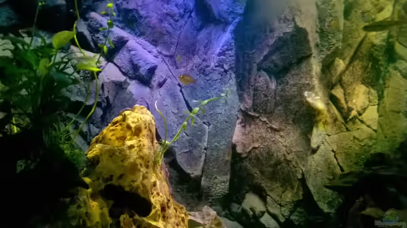 Rückwand 3d Poster von Lars Ascher (42)