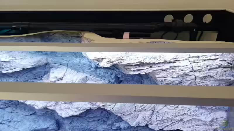 Rückwand Alimar von Arstone von Tom (8)