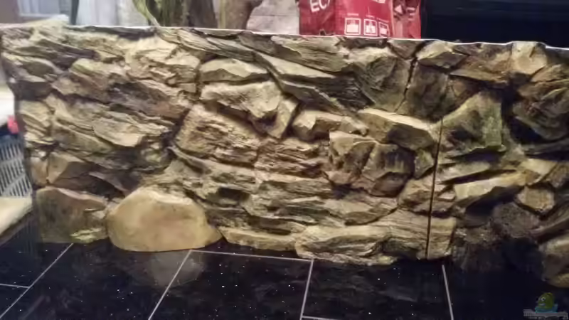 Rückwand Amazonas von Discus (8)