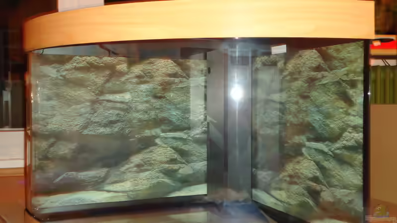 Rückwand angebracht von atom010 (9)