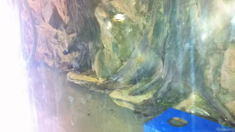 Rückwand anpassen von Redül (3)