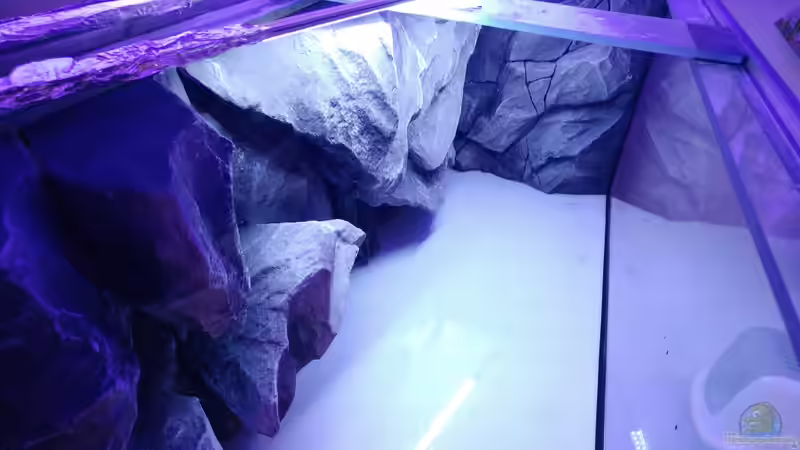 Aquarien mit Produkten von Aquadecor (Einrichtungsbeispiele mit Aquadecor-Produkten)