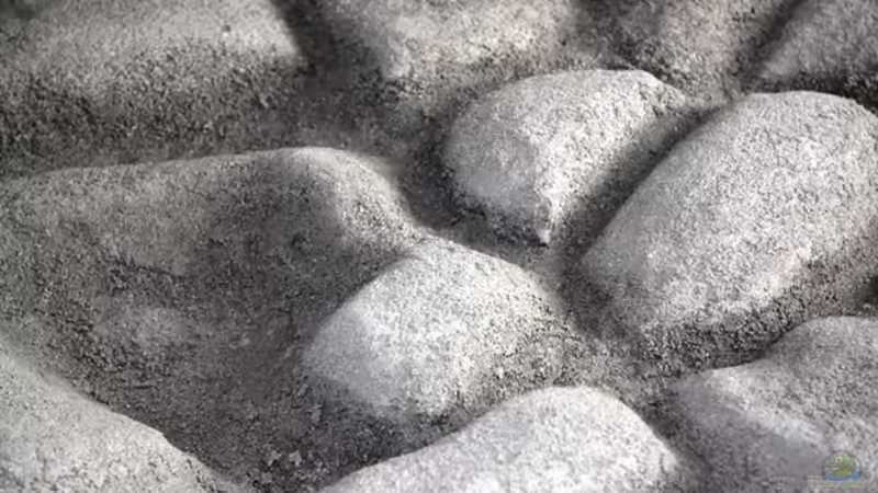 Rückwand aus der Nähe. von boffix (22)