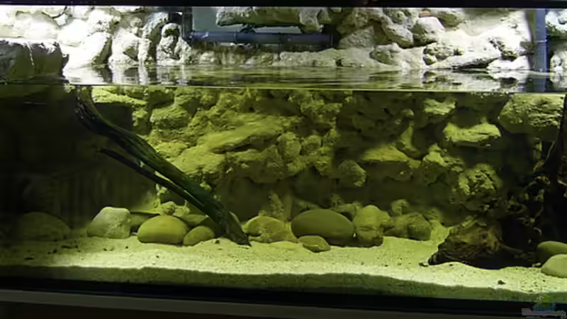 Rückwand aus Styropor/Trasszement/PU-Schaum/Sand/Abtönfarbe (Bauzeit ca. 3 Wo.) von **Die Julia** (2)