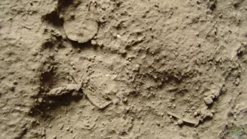 Rückwand aus Styropor von Peer Wojtkowiak (6)