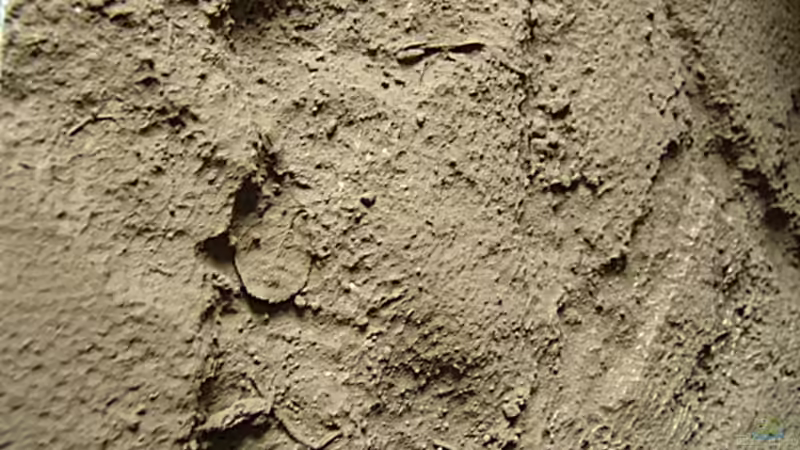 Rückwand aus Styropor von Peer Wojtkowiak (7)