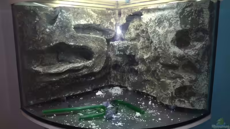 Rückwand bau von Matthias Stett (3)