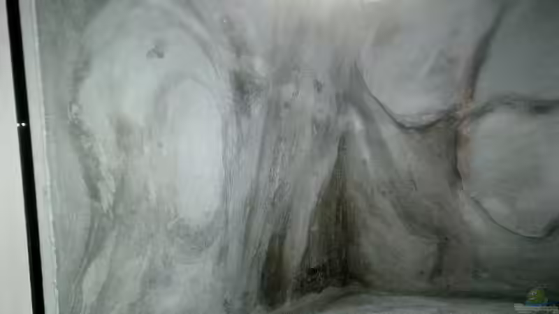 Rückwand bei Ersteinrichtung von di Stefano (3)