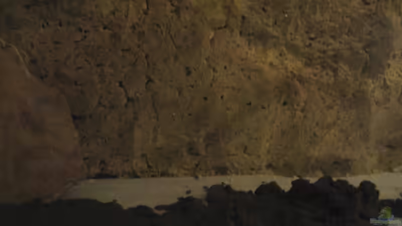 Rückwand beim Einbau von Malawigo (26)