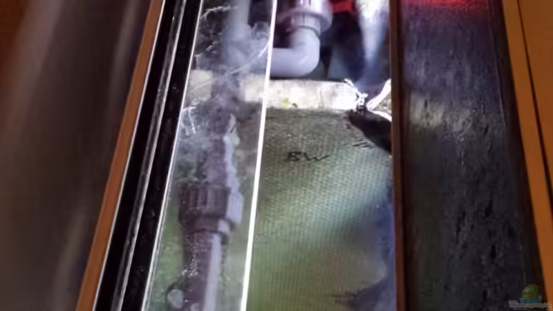 Rückwand-Bio-Rieselfilter mit Zuleitungen von Andy Weiss (22)