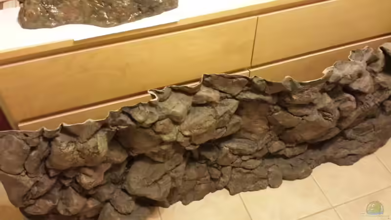 Rückwand der Firma Rockzolid ´Komodo´ von Thomas u. Gabriele P. (30)