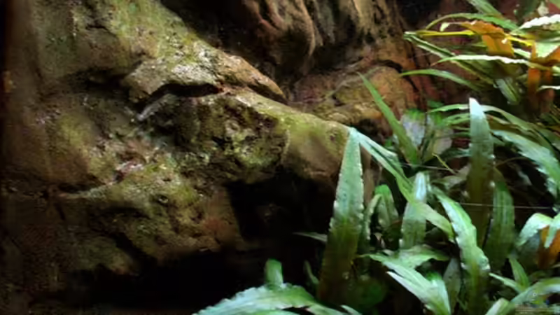 Rückwand (Detail) links von Tilo Schmiedl (17)