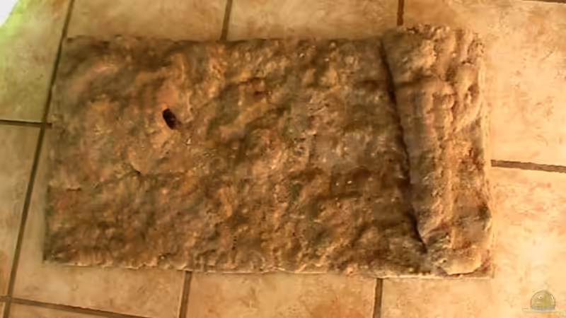 Rückwand Eigenbau von Olli N. (9)