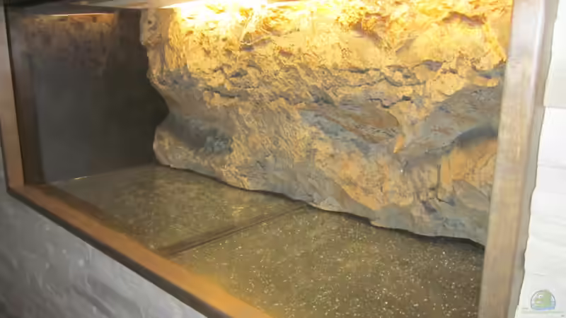 Rückwand eingebaut von bergstrasse (15)