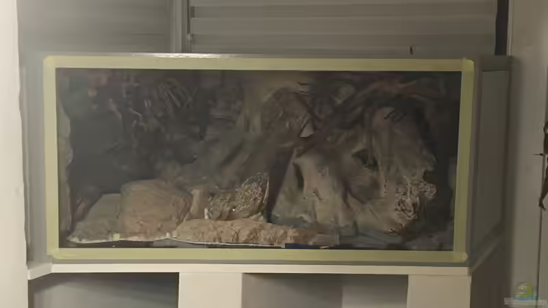 Rückwand eingebracht von Hedylein (2)