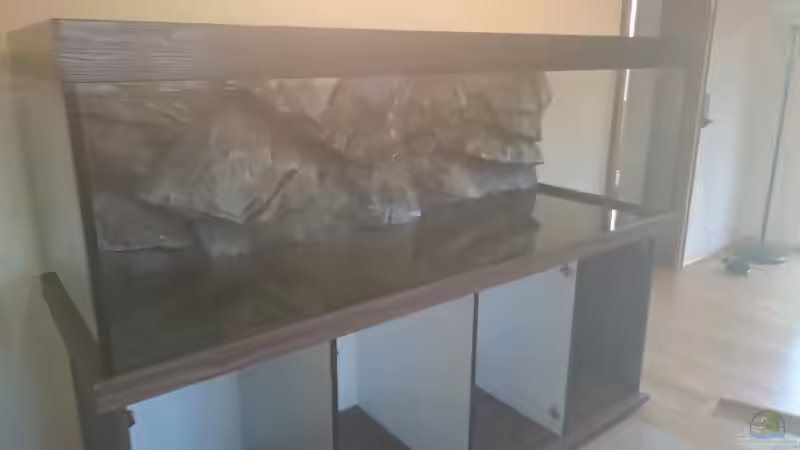 Rückwand eingeklebt ;) von Tobias Summerer (31)