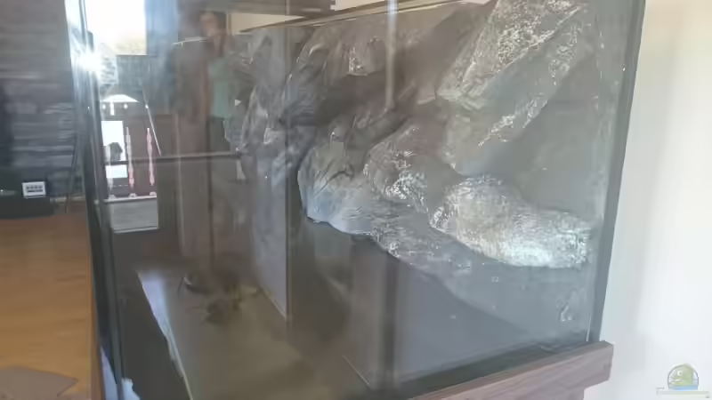 Rückwand eingeklebt ;) von Tobias Summerer (33)