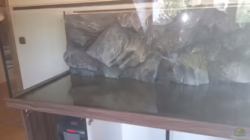 Rückwand eingeklebt ;) von Tobias Summerer (36)