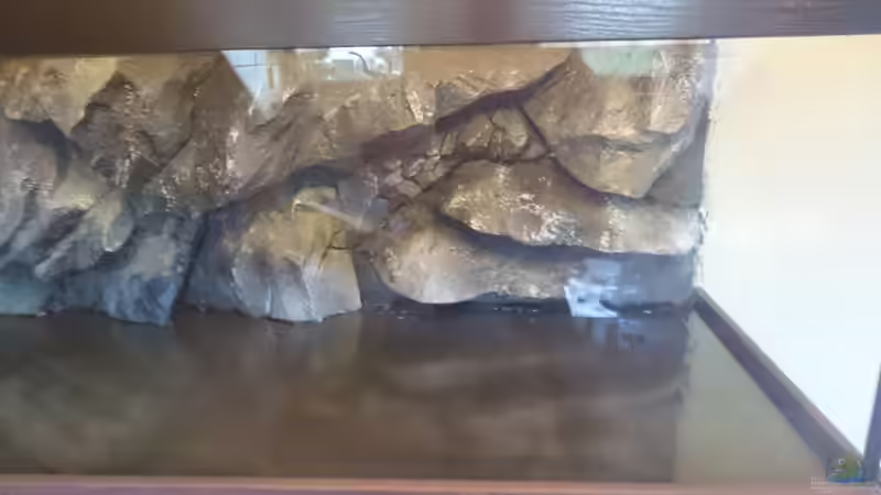 Rückwand eingeklebt ;) von Tobias Summerer (39)