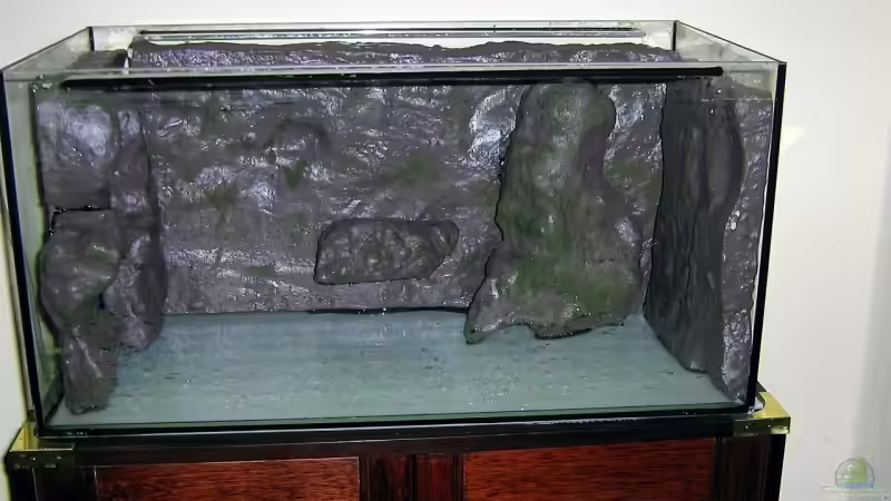 Rückwand Eingeklebt von Dennis Klusmann (12)