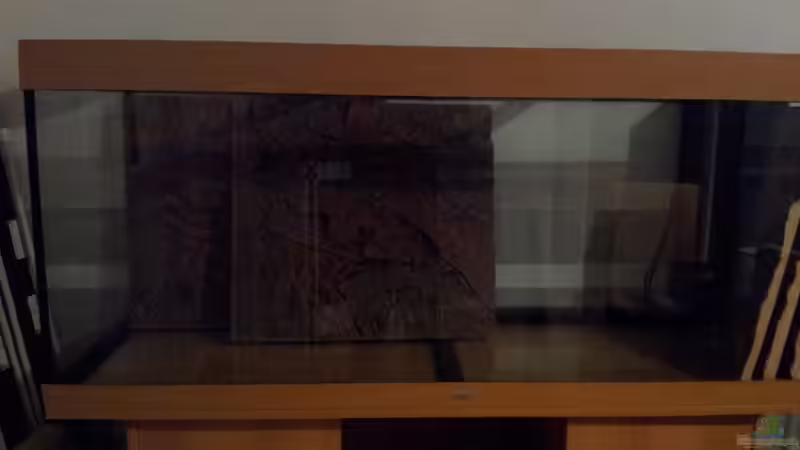 Rückwand eingeklebt von Hans Lonzeck (3)