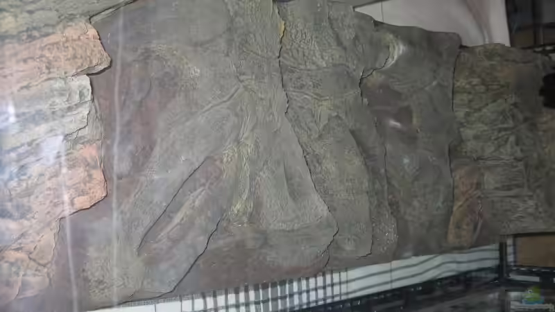 Rückwand etwas zu kurz ausgefallen von Hubert Demonty (13)