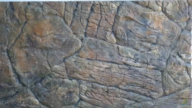 Rückwand Fels flach von Tobias.Neher (18)