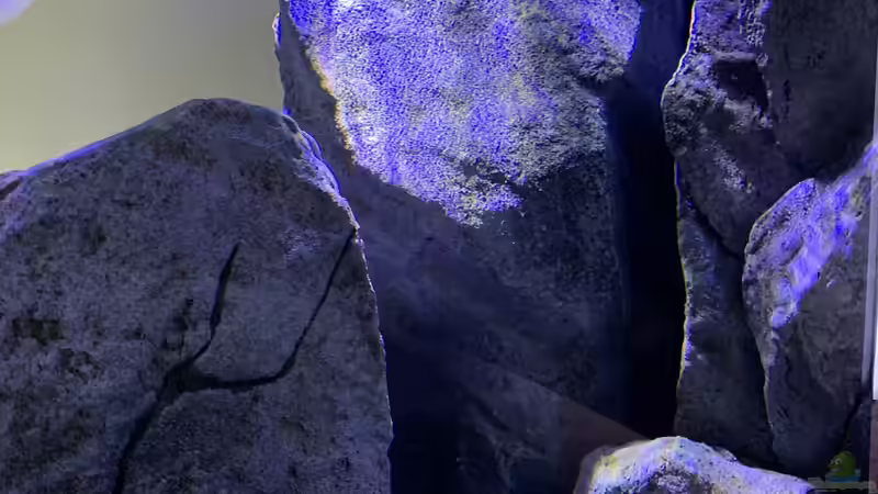 Rückwand Felsriss von Dsquared (5)