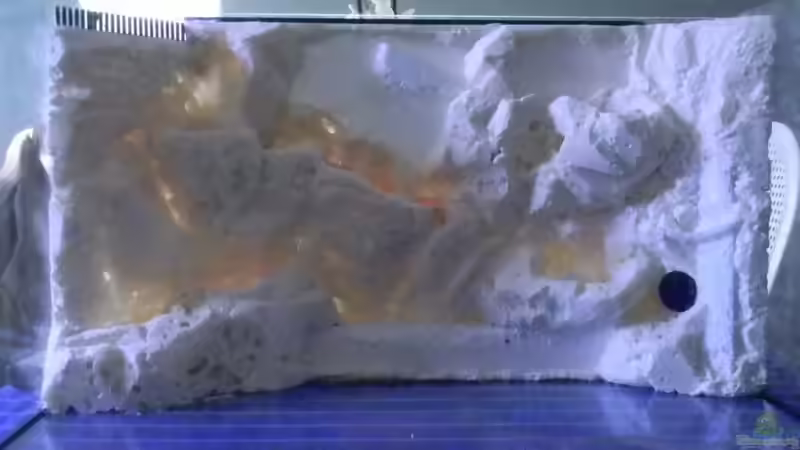 Rückwand fertig modeliert von Alfur (11)