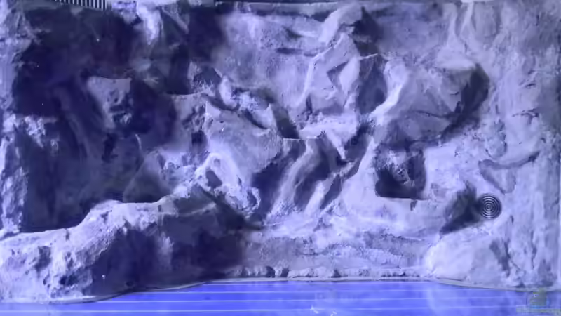 Rückwand fertig von Alfur (12)