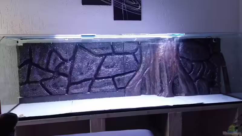 Rückwand Fertig von Michael Scheffler (9)