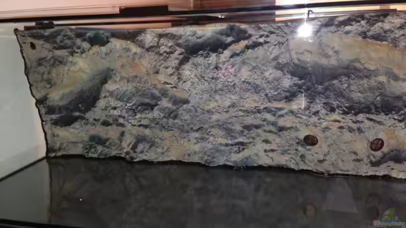 Rückwand frisch eingeklebt von Chimme (18)