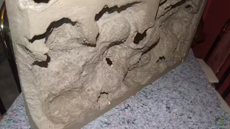 Rückwand hinten von wadde (33)