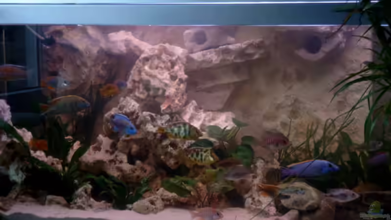 Rückwand II von Christian Klar (22)